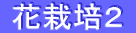  花栽培２ 