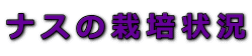 ナスの栽培状況
