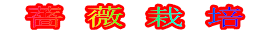  薔 薇 栽 培 