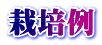 栽培例