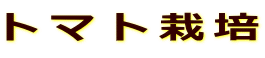 トマト栽培 