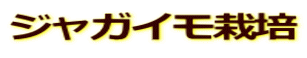 ジャガイモ栽培